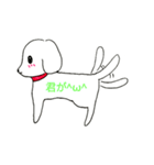 白い犬スタンプ（個別スタンプ：31）