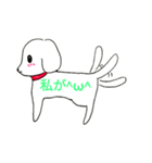白い犬スタンプ（個別スタンプ：32）