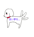 白い犬スタンプ（個別スタンプ：40）