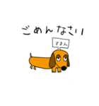 まいどダックス（個別スタンプ：4）