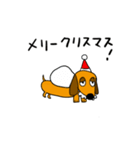 まいどダックス（個別スタンプ：39）