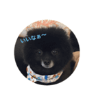 ぽんぽんP（個別スタンプ：7）