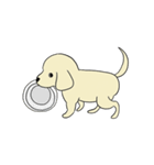 ゴールデンレトリバー 子犬のスタンプ（個別スタンプ：8）