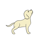 ゴールデンレトリバー 子犬のスタンプ（個別スタンプ：22）
