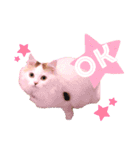 ねこちゃんs（個別スタンプ：1）
