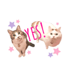 ねこちゃんs（個別スタンプ：3）