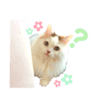 ねこちゃんs（個別スタンプ：14）