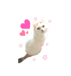 ねこちゃんs（個別スタンプ：15）