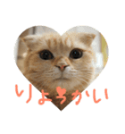 きゃらめるち（個別スタンプ：1）