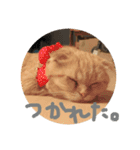 きゃらめるち（個別スタンプ：5）