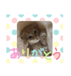 きゃらめるち（個別スタンプ：7）