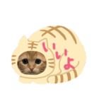 きゃらめるち（個別スタンプ：8）