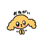 プードル（顔）（個別スタンプ：7）