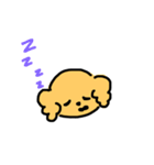 プードル（顔）（個別スタンプ：10）