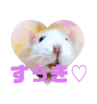 ファンシーラット4（個別スタンプ：5）
