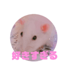 ファンシーラット4（個別スタンプ：6）
