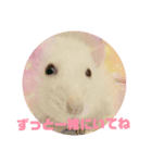 ファンシーラット4（個別スタンプ：8）