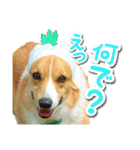 源次郎セリフスタンプ（個別スタンプ：2）