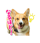 源次郎セリフスタンプ（個別スタンプ：4）