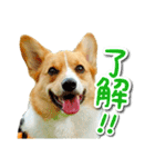 源次郎セリフスタンプ（個別スタンプ：5）