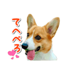 源次郎セリフスタンプ（個別スタンプ：6）