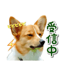 源次郎セリフスタンプ（個別スタンプ：8）