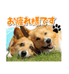 源次郎セリフスタンプ（個別スタンプ：9）
