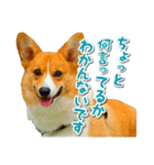 源次郎セリフスタンプ（個別スタンプ：10）