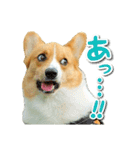 源次郎セリフスタンプ（個別スタンプ：11）
