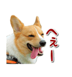 源次郎セリフスタンプ（個別スタンプ：12）