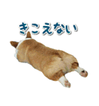源次郎セリフスタンプ（個別スタンプ：13）