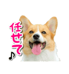 源次郎セリフスタンプ（個別スタンプ：21）