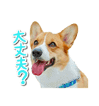 源次郎セリフスタンプ（個別スタンプ：23）