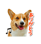 源次郎セリフスタンプ（個別スタンプ：28）