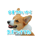 源次郎セリフスタンプ（個別スタンプ：38）