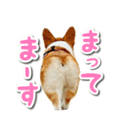 源次郎セリフスタンプ（個別スタンプ：39）