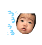 ここみぃひぃたん（個別スタンプ：5）