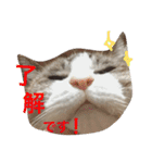 リーフの日常会話♡（個別スタンプ：1）