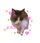 リーフの日常会話♡（個別スタンプ：3）