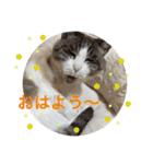 リーフの日常会話♡（個別スタンプ：4）