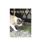 リーフの日常会話♡（個別スタンプ：12）