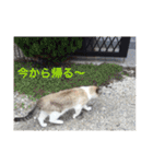 リーフの日常会話♡（個別スタンプ：14）