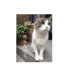リーフの日常会話♡（個別スタンプ：16）