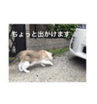 リーフの日常会話♡（個別スタンプ：17）