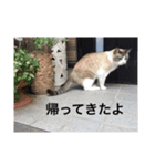 リーフの日常会話♡（個別スタンプ：18）