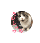 リーフの日常会話♡（個別スタンプ：20）