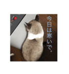 リーフの日常会話♡（個別スタンプ：26）