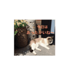 リーフの日常会話♡（個別スタンプ：27）
