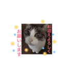 リーフの日常会話♡（個別スタンプ：29）