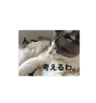 リーフの日常会話♡（個別スタンプ：30）